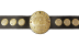 IWGP Heavyweight Championship IWGP Heavyweight Championship