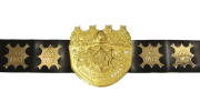 IWGP Heavyweight Championship IWGP Heavyweight Championship