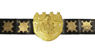 IWGP Heavyweight Championship IWGP Heavyweight Championship