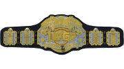 IWGP Heavyweight Championship IWGP Heavyweight Championship