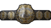 IWGP Heavyweight Championship IWGP Heavyweight Championship