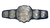 IWGP Intercontinental Championship IWGP Intercontinental Championship