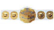IWGP Intercontinental Championship IWGP Intercontinental Championship