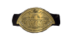 IWGP Junior Heavyweight Tag Team Championship