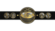 IWGP Tag Team Championship IWGP Tag Team Championship