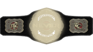 NEVER Openweight Championship (Gold Spray) NEVER Openweight Championship (Gold Spray)
