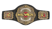 NEVER Openweight Championship NEVER Openweight Championship