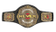 NEVER Openweight Championship NEVER Openweight Championship