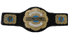 NEVER Openweight 6-Man Tag Team Championship