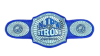 Strong Openweight Tag Team Championship