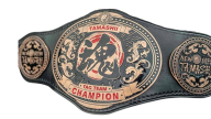 TAMASHII Tag Team Championship TAMASHII Tag Team Championship