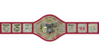 NWA United States Tag Team Championship NWA United States Tag Team Championship