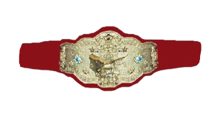 NWA Women's Tag Team Championship