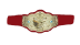 WWF Women's Tag Team Championship