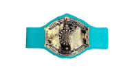 Nwa womens tag team championship