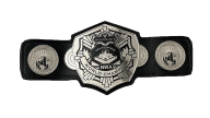 Nwa womens tv championship