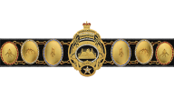 NWA World Heavyweight Championship ('Lou Thesz belt') NWA World Heavyweight Championship ('Lou Thesz belt')