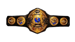 NWA World Junior Heavyweight Championship