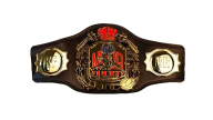 Nwa world jr championship