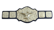 NWA World Tag Team Championship NWA World Tag Team Championship