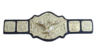 NWA World Tag Team Championship