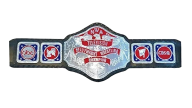 Nwa world tv championship