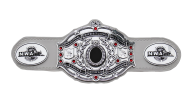 Nwa world womens championship 5