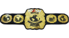 MLW World Heavyweight Championship MLW World Heavyweight Championship
