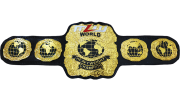MLW World Heavyweight Championship MLW World Heavyweight Championship