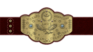 WWF Women's Tag Team Championship WWF Women's Tag Team Championship