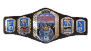 ROH World Television Championship ROH World Television Championship