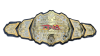 TNA Digital Media Championship