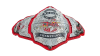 TNA Knockouts World Tag Team Championship