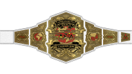TNA Knockouts World Championship TNA Knockouts World Championship