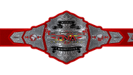 TNA World Tag Team Championship TNA World Tag Team Championship