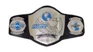 GFW World Tag Team Championship GFW World Tag Team Championship