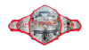 TNA World Tag Team Championship
