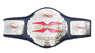 TNA X Division Championship