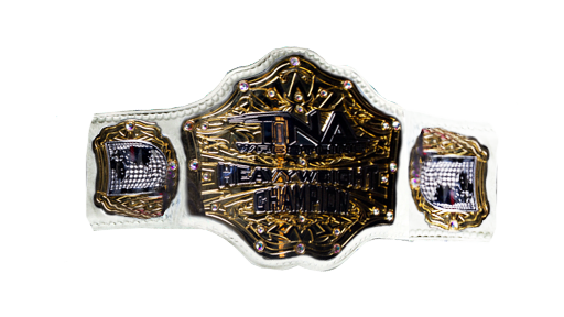 TNA World Heavyweight Championship (unofficial)