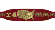 NWA United States Heavyweight Championship NWA United States Heavyweight Championship