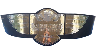 WCW Cruiserweight Tag Team Championship WCW Cruiserweight Tag Team Championship