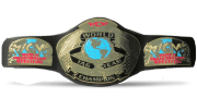 WCW World Tag Team Championship WCW World Tag Team Championship