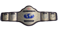 WCW World Television Championship