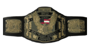 WCW United States Heavyweight Championship WCW United States Heavyweight Championship