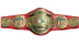 NWA/WCW United States Tag Team Championship ('86-'92)