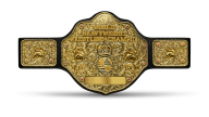 WCW International World Heavyweight Championship