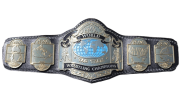 NWA World Tag Team Championship NWA World Tag Team Championship