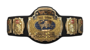 WCW World Tag Team Championship WCW World Tag Team Championship