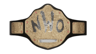 WCW World Heavyweight Championship (nWo - Hollywood Hogan) WCW World Heavyweight Championship (nWo - Hollywood Hogan)