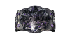 WWE Evolve Championship WWE Evolve Championship